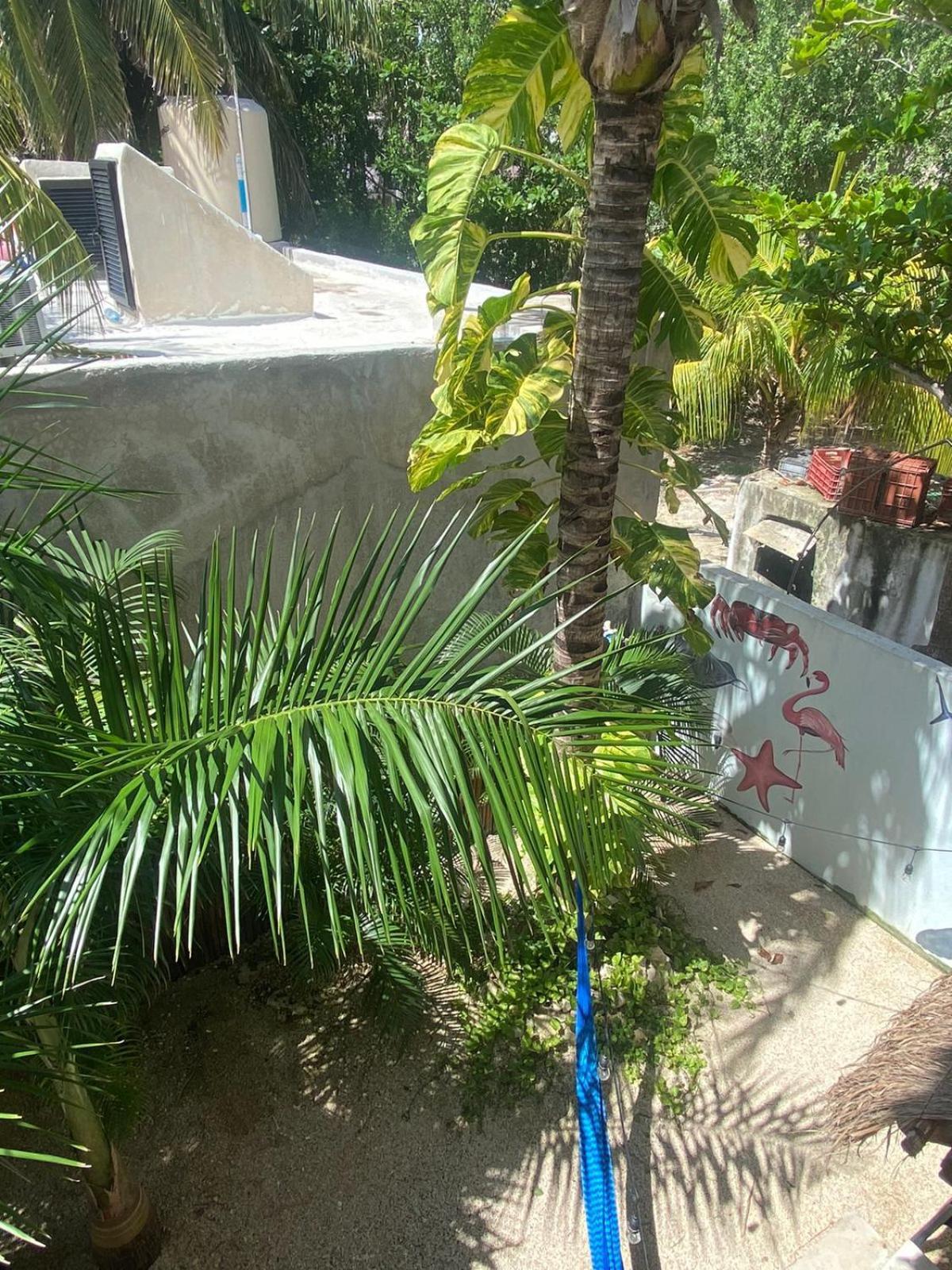 Hotel Pelecanus Suites Holbox Exterior foto