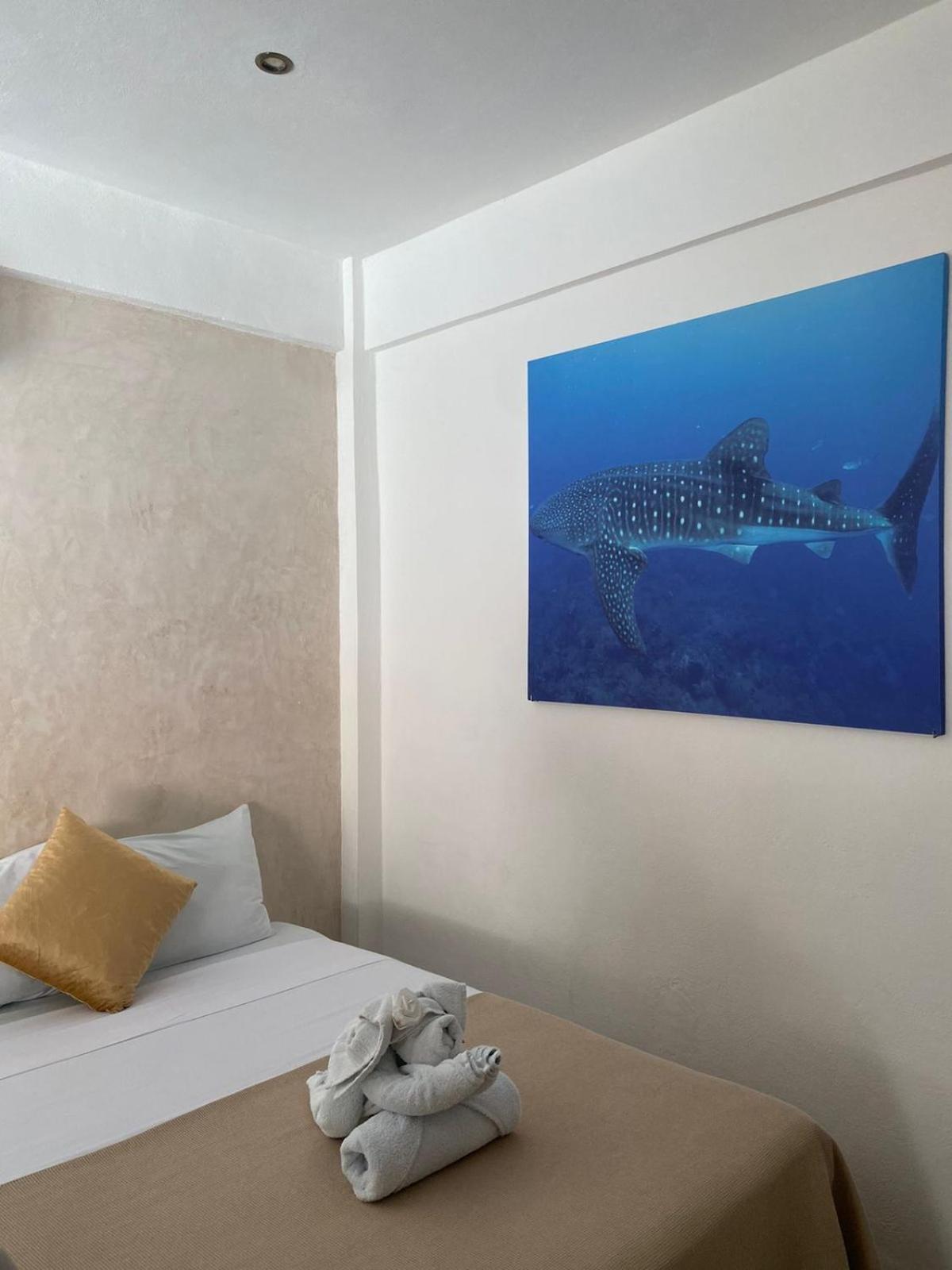 Hotel Pelecanus Suites Holbox Exterior foto