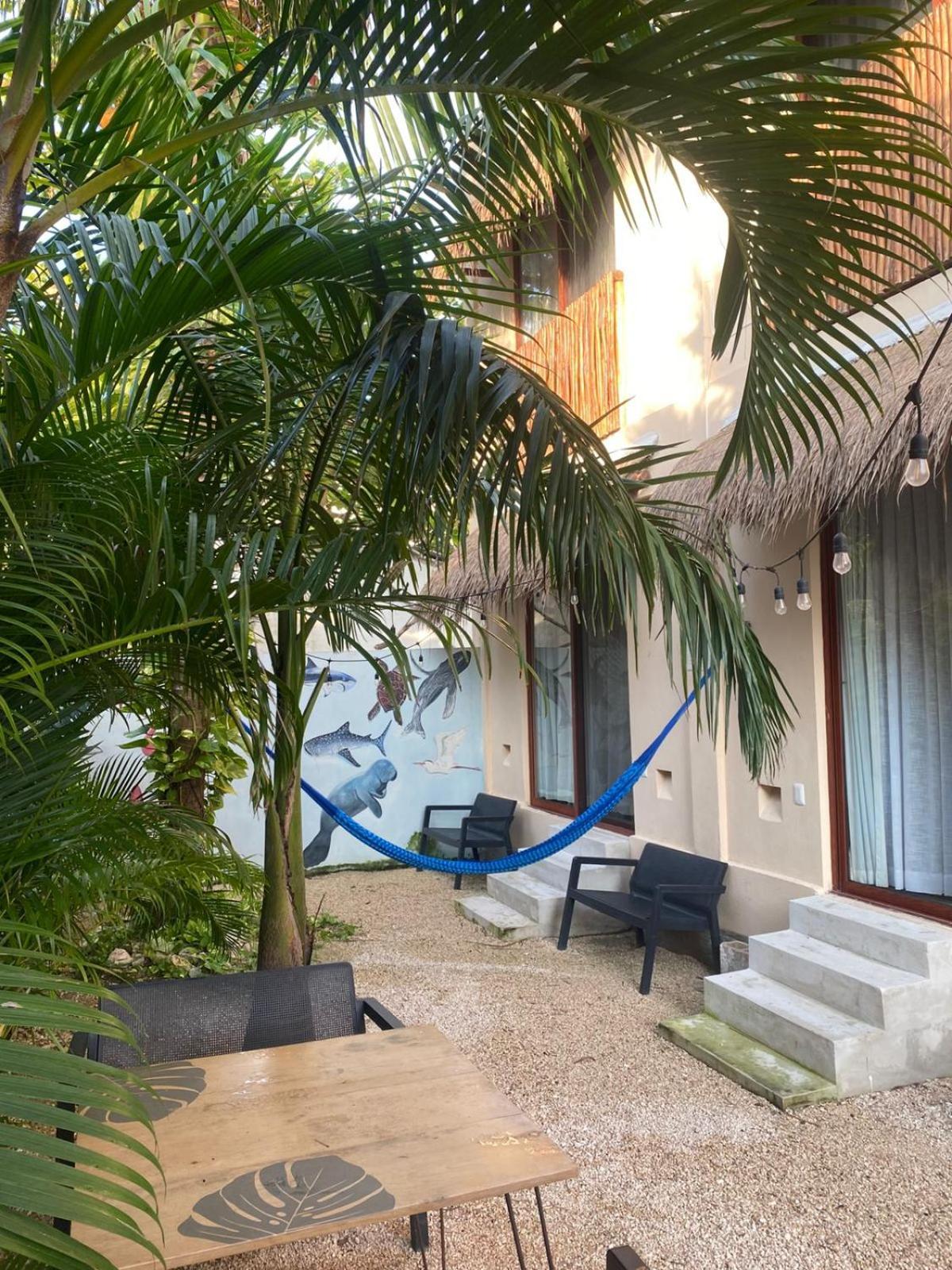 Hotel Pelecanus Suites Holbox Exterior foto