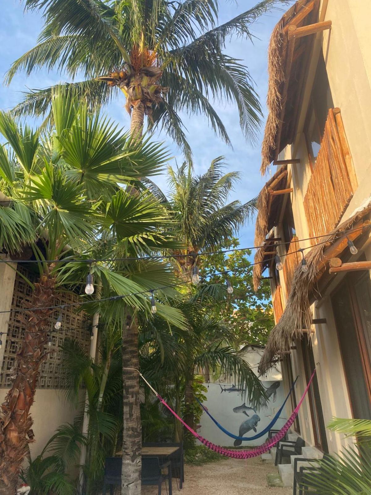 Hotel Pelecanus Suites Holbox Exterior foto